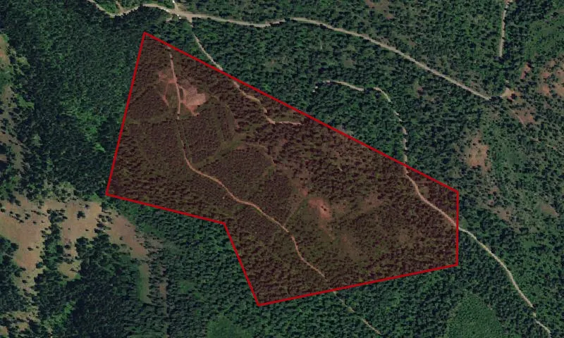 Lost Lake Seed Orchard Experimental Research Area