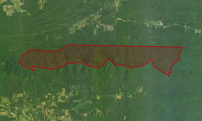 Blue Mountain Roadless Area