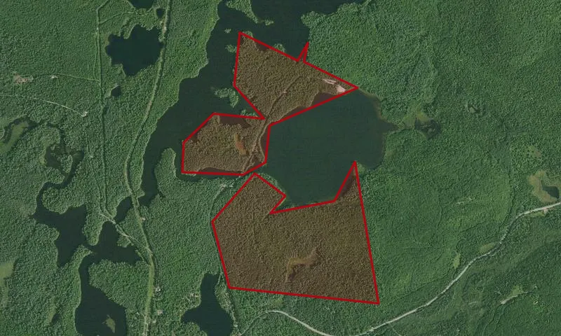 Buck Pond Campground