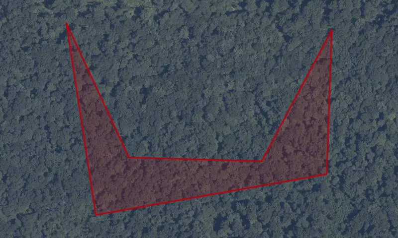 Bat Wing Cave Single Tree Selection Area