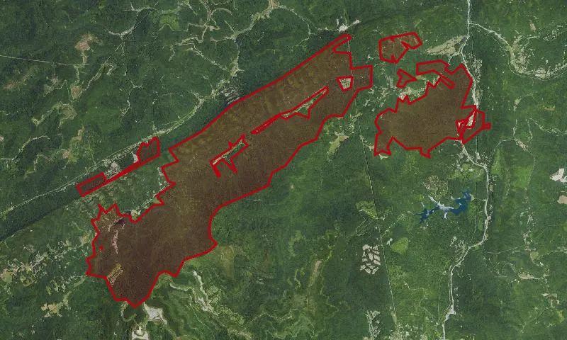 Kentucky Ridge State Forest