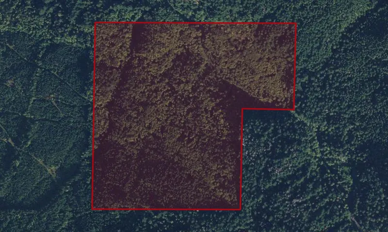 Illabot Creek Purchase Unit