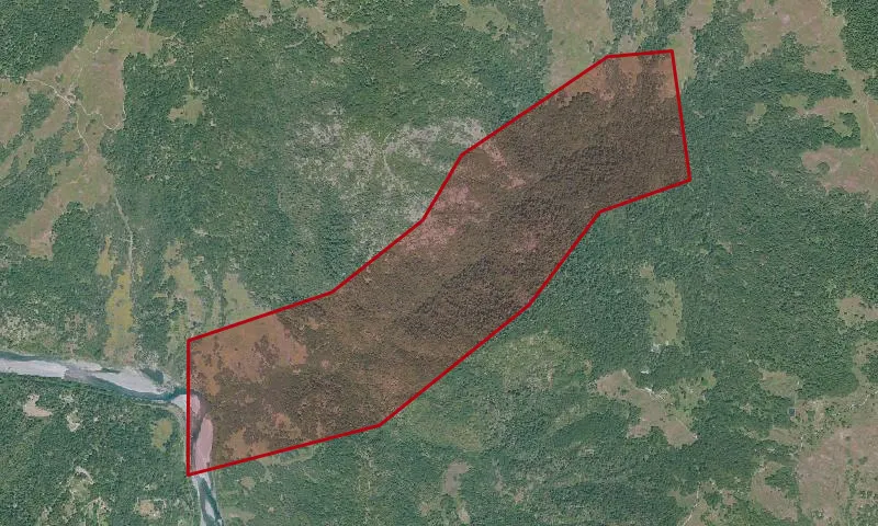 Colman Creek