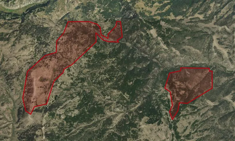 Cruces Basin Roadless Area