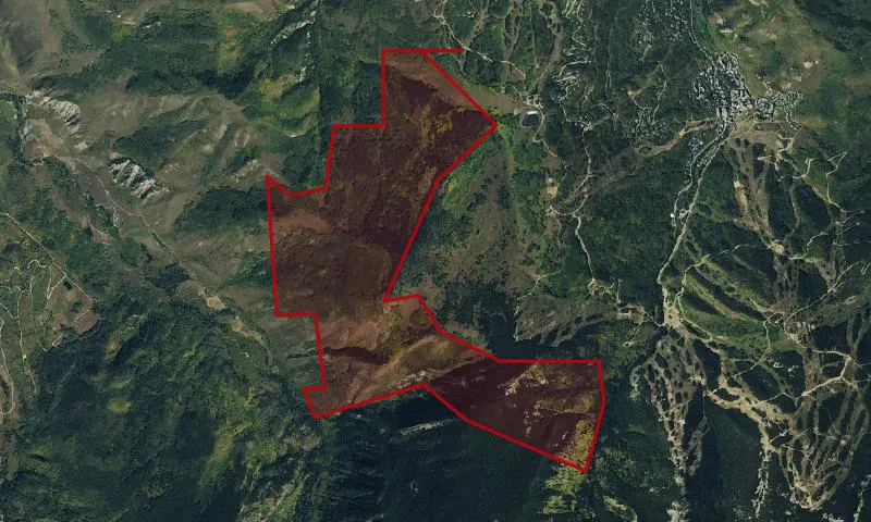 Meadow Mountain A Roadless Area