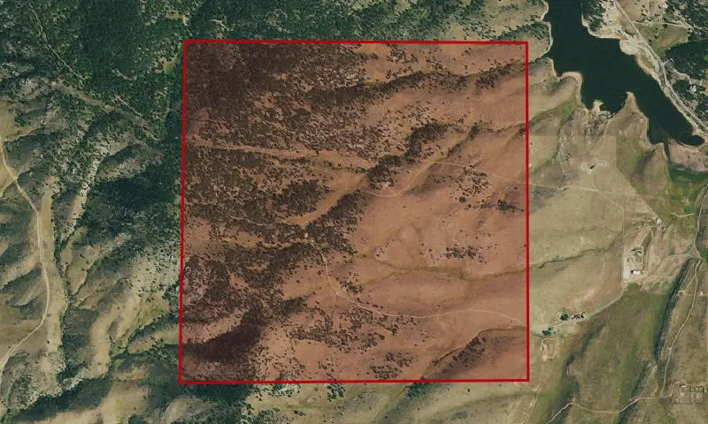 Pinewood Reservation/Rattlesnake Park
