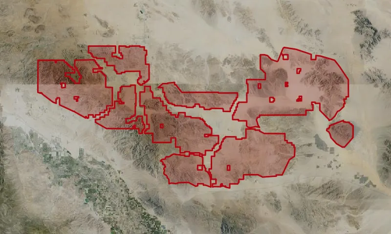 Joshua Tree Wilderness Area