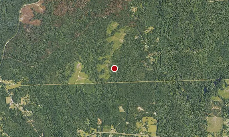 Kisatchie National Forest