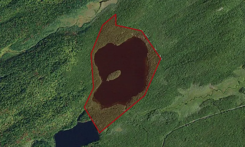 Brown Tract Pond Campground