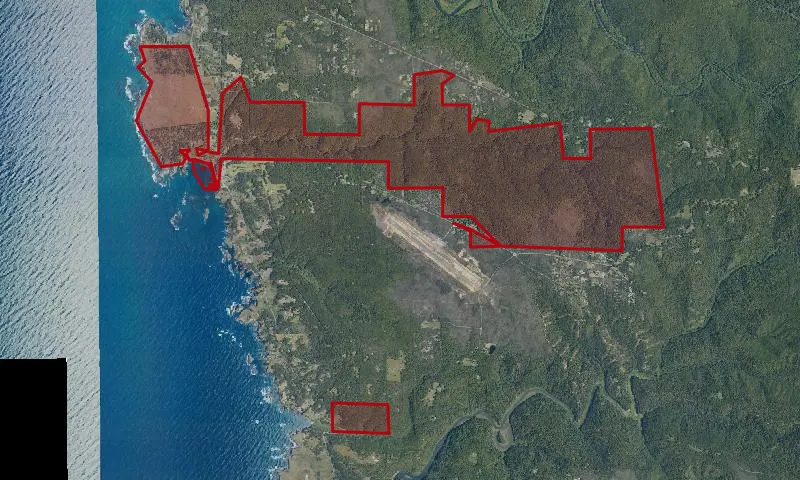 Van Damme State Park