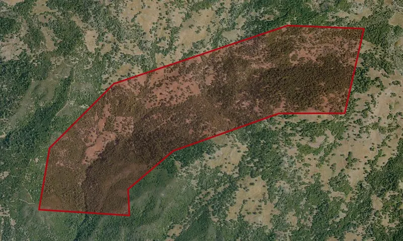 Indian Creek Trib