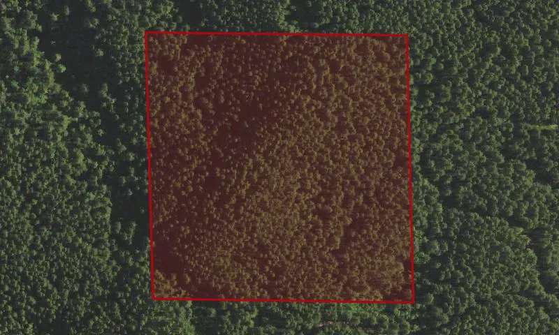Little Hebo Seed Plot 15 Experimental Research Area