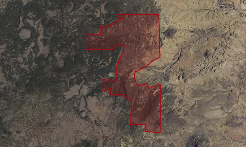 Guadalupe Roadless Area