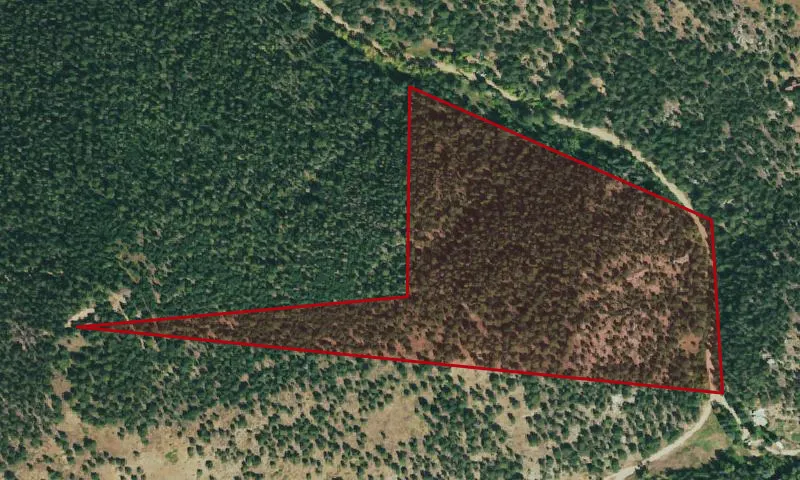 Wallace-Gordon Gulch