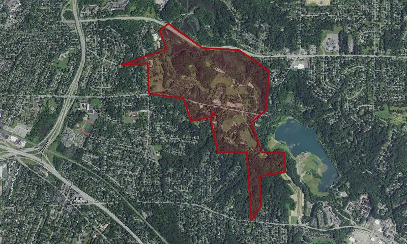 Ellison Park