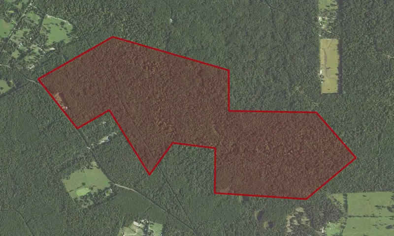 Winters Bayou Roadless Area