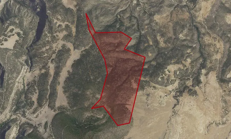 Oso Vallecitos Roadless Area