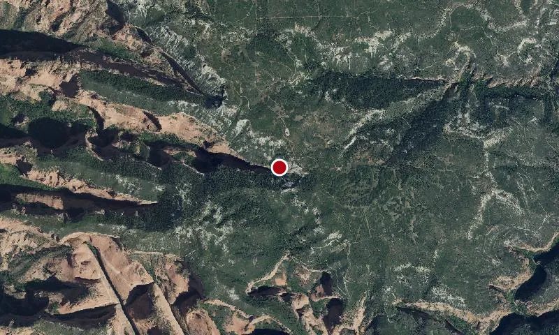 Taylor Creek Wilderness