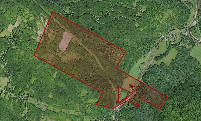 Vinegar Hill Wma