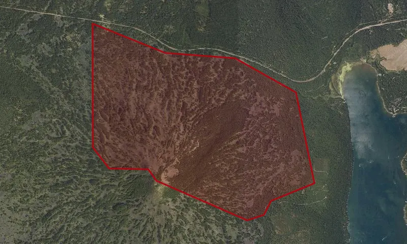 Brown Mt. Roadless Area