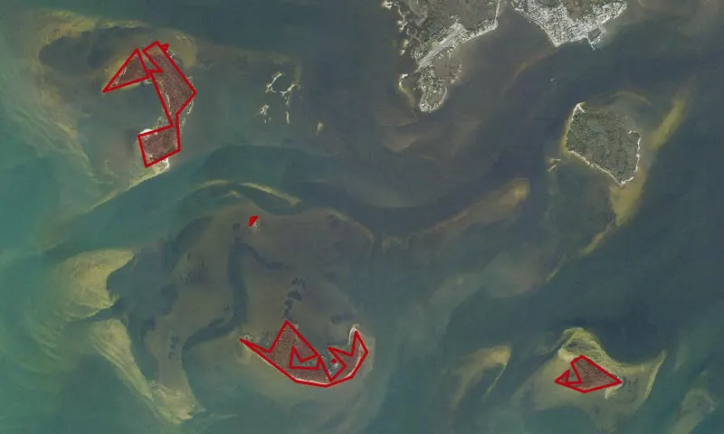 Cedar Keys National Wildlife Refuge Wilderness Area