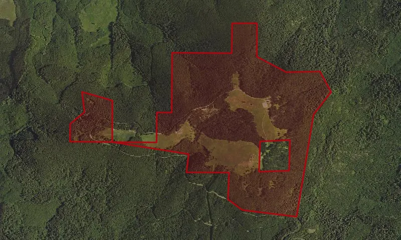 Marys Peak Botanical Area