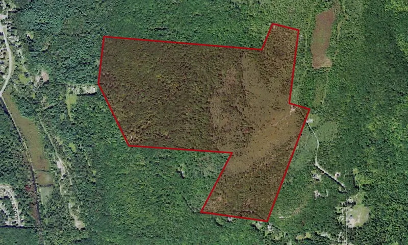 Roosa Gap State Forest