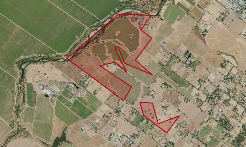 Nelson Family Ranch