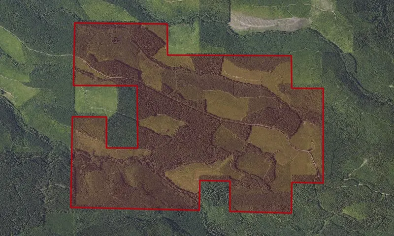 Wildcat Tract