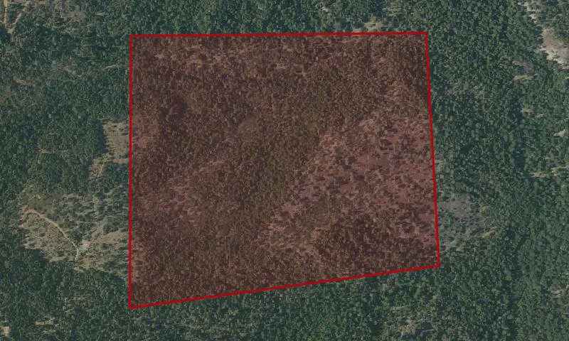 Ellen Pickett State Forest