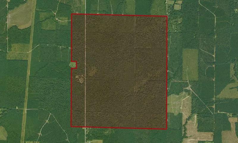 Crossett Experimental Forest
