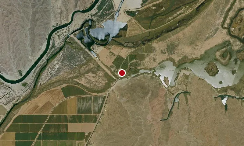 Bill Williams River Locality