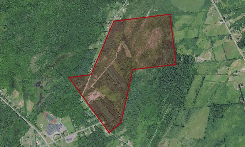 Brownville Wma