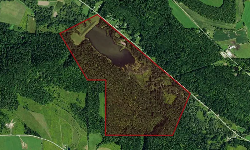 Conewango Creek Waterway Access