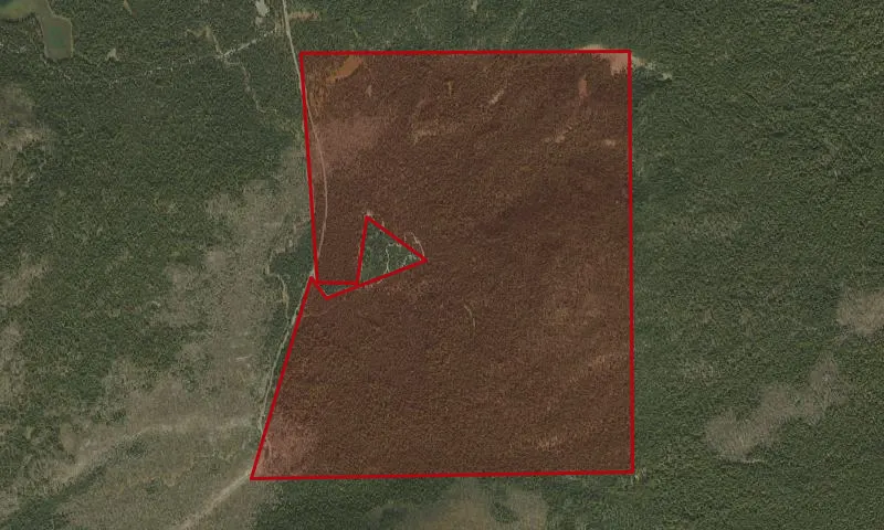 Frog Camp Roadless Area