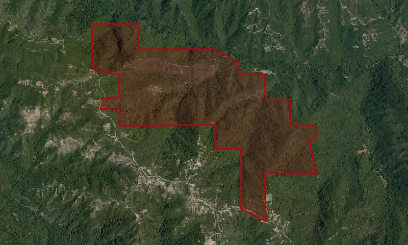 Uvas Canyon County Park