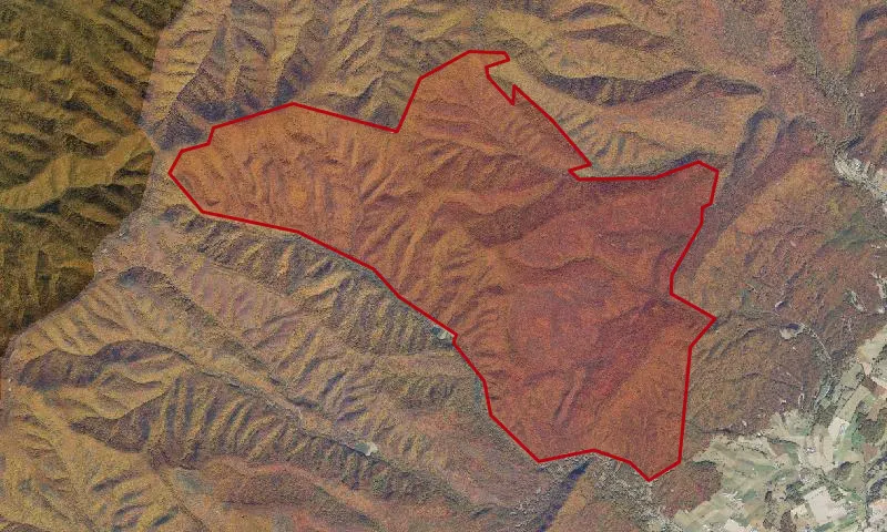 Oak Knob Roadless Area
