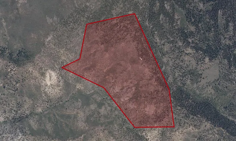 Rose - Gray Creek Roadless Area