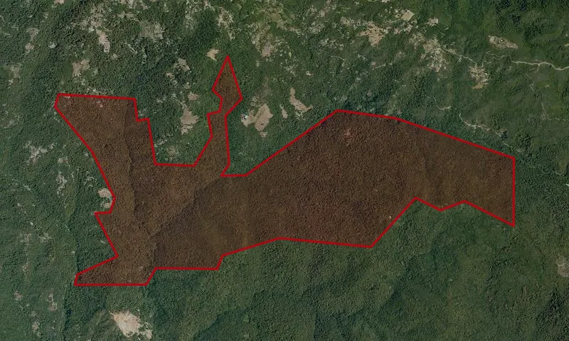 Soquel Demonstration State Forest
