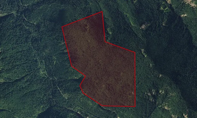 Angry Mountain Roadless Area