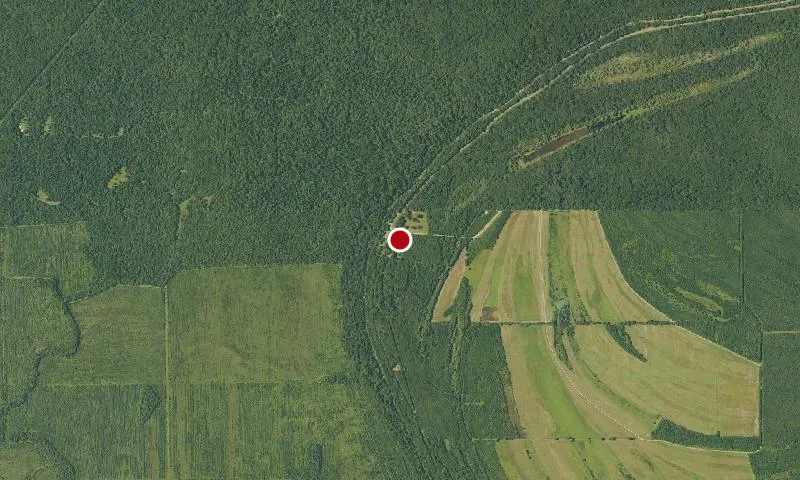Tensas River National Wildlife Refuge