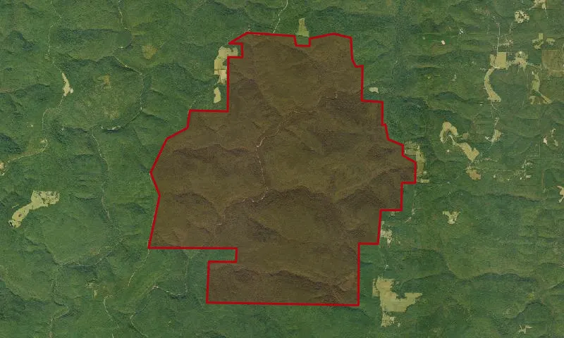 East Fork Wilderness