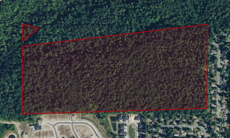 Cedar Downs Site