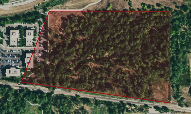 Cottonwood Grove