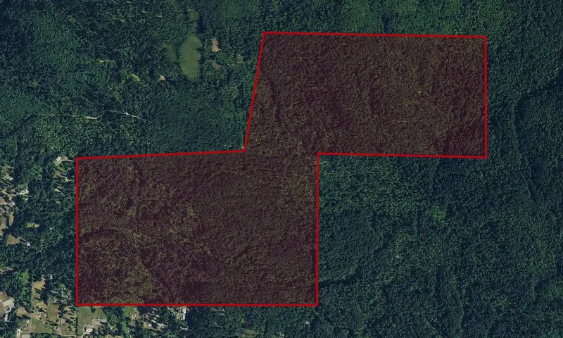 Taylor Mountain Forest Park