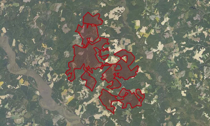 Dragon Run State Forest