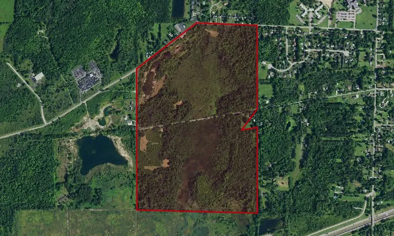 Tillman Road Wma