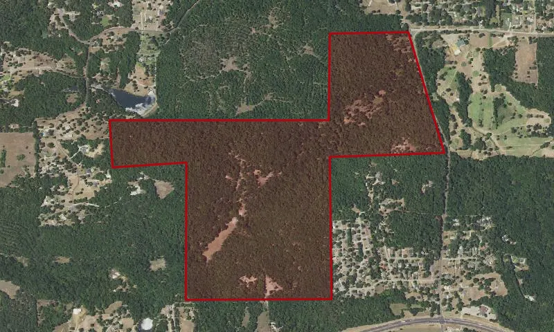 Davey Dogwood Park