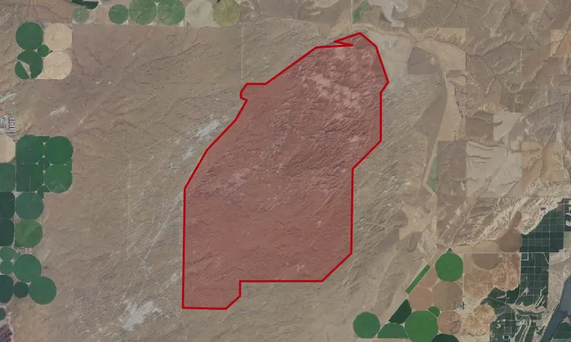 Juniper Dunes Wilderness Area