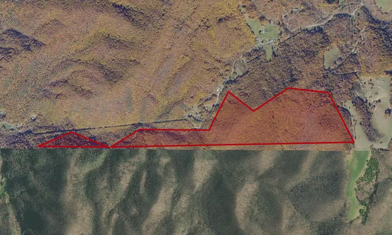 Rogers Run Roadless Area